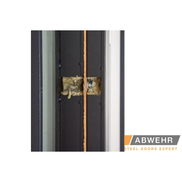 Вхідні двері Abwehr TERMIX Tower 527 Антрацит