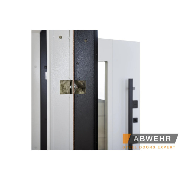 Вхідні двері Abwehr Cottage 496 UFO Black