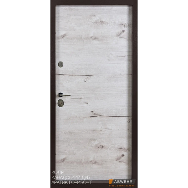 Вхідні двері Abwehr Cotage 448 Softana RAL 8019