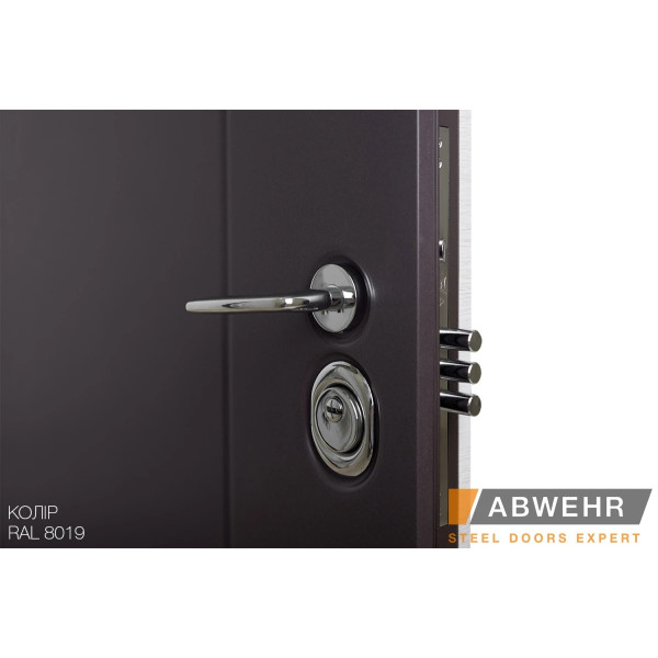 Вхідні двері Abwehr Cotage 448 Softana RAL 8019