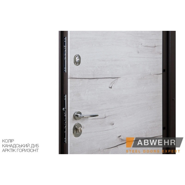 Вхідні двері Abwehr Cotage 448 Softana RAL 8019