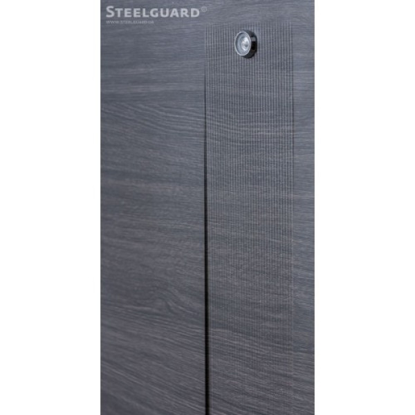 Вхідні двері Steelguard BARCA