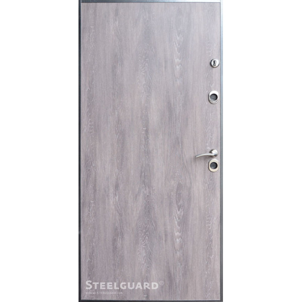 Вхідні двері Steelguard Antifrost Torre