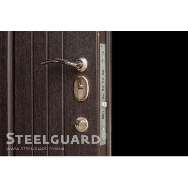 Вхідні двері Steelguard ФОРТ
