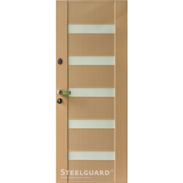 Вхідні двері Steelguard MILANO