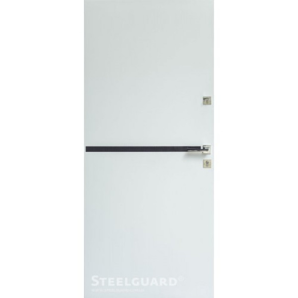 Вхідні двері Steelguard VEI