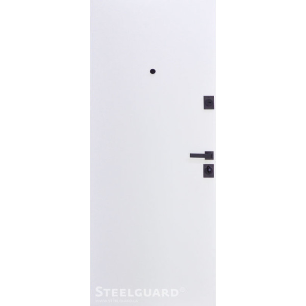 Вхідні двері Steelguard REMO