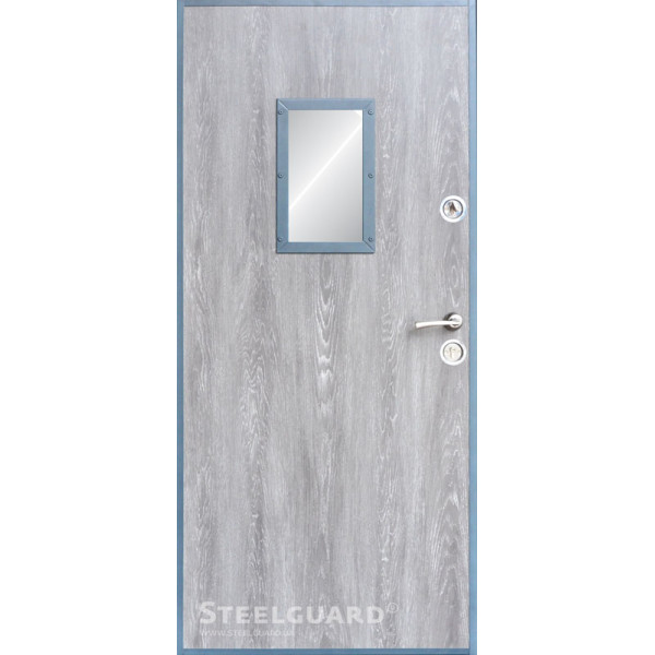 Вхідні двері Steelguard Termoskin Light Glass