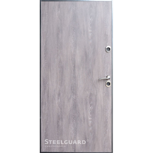 Вхідні двері Steelguard Termoskin Light
