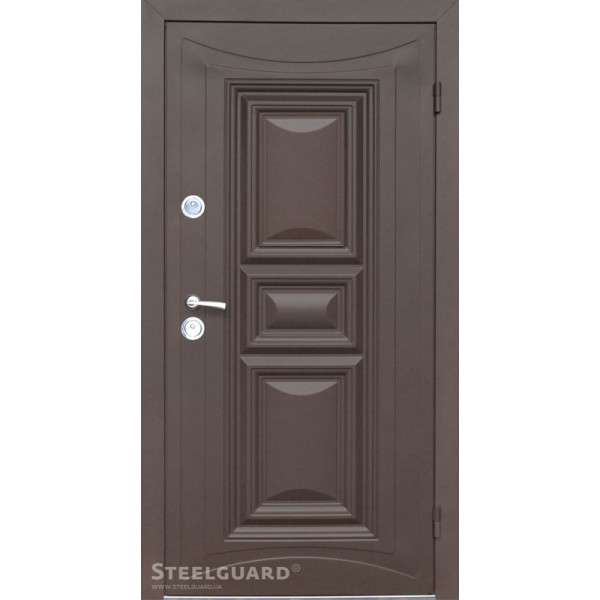 Вхідні двері Steelguard Termoskin Light
