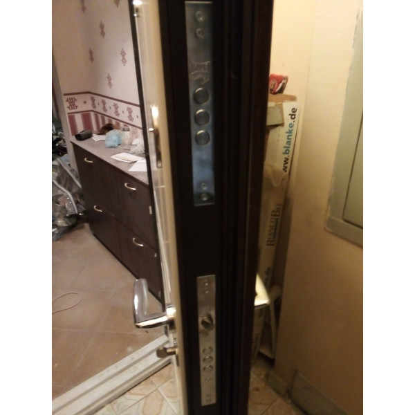 Вхідні двері Steelguard TERMOSCREEN